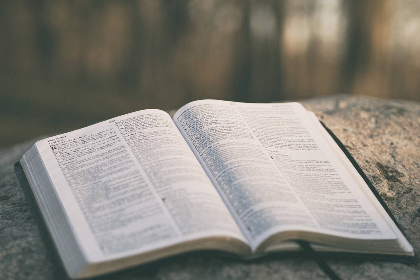 How to Display Bible Verses in Church Presenter